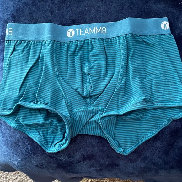 Mens Small NWT TEAMM8 Teal Super Low Stripe Boxer Brief - Picture 5 of 9